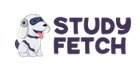 studyfetch offers logo