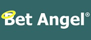 betangel professional logo