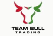 teambull site logo